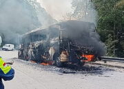 Bawa 40 Penumpang, Bus Pariwisata Terbakar di Jalur Medan-Berastagi