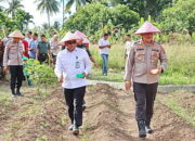 Polres Padangsidimpuan Laksanakan Penanaman Jagung Kwartal III