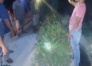 Bayi Masih Bernafas Ditemukan di Bawah Jembatan Tol Sergai