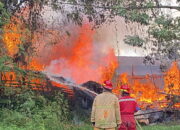 Panglong Yetno di Jalan Namad Damanik Dilalap si Jago Merah